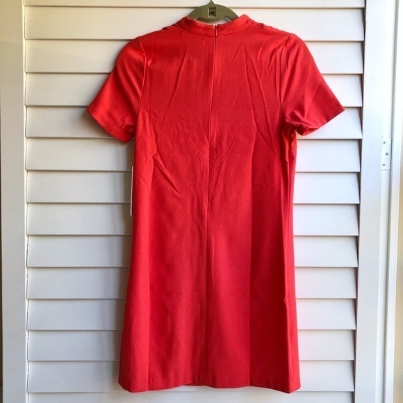 Bishop + Young Sasha Choker Shift Dress - Picture 5 of 8